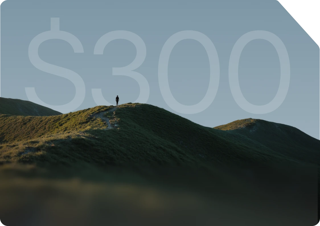 Earn up to $300 Cost per aquisition