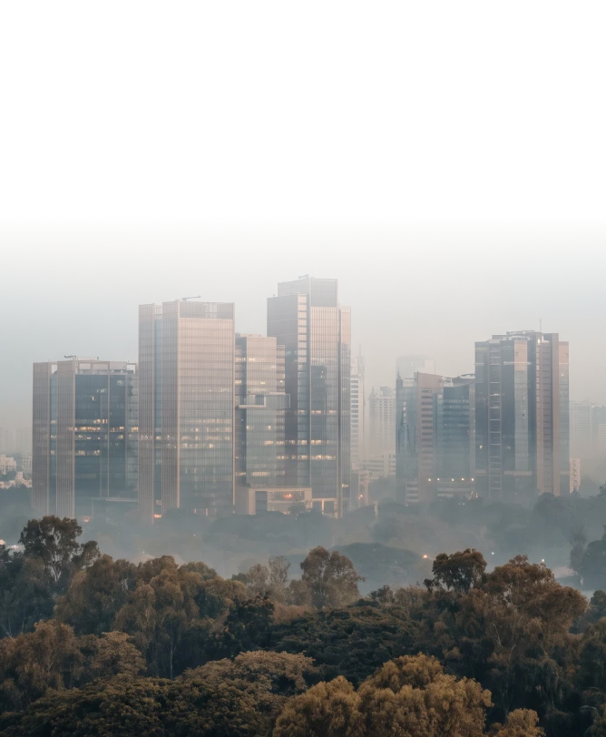 buildings-with-trees